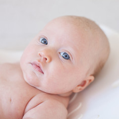 Puj Tub